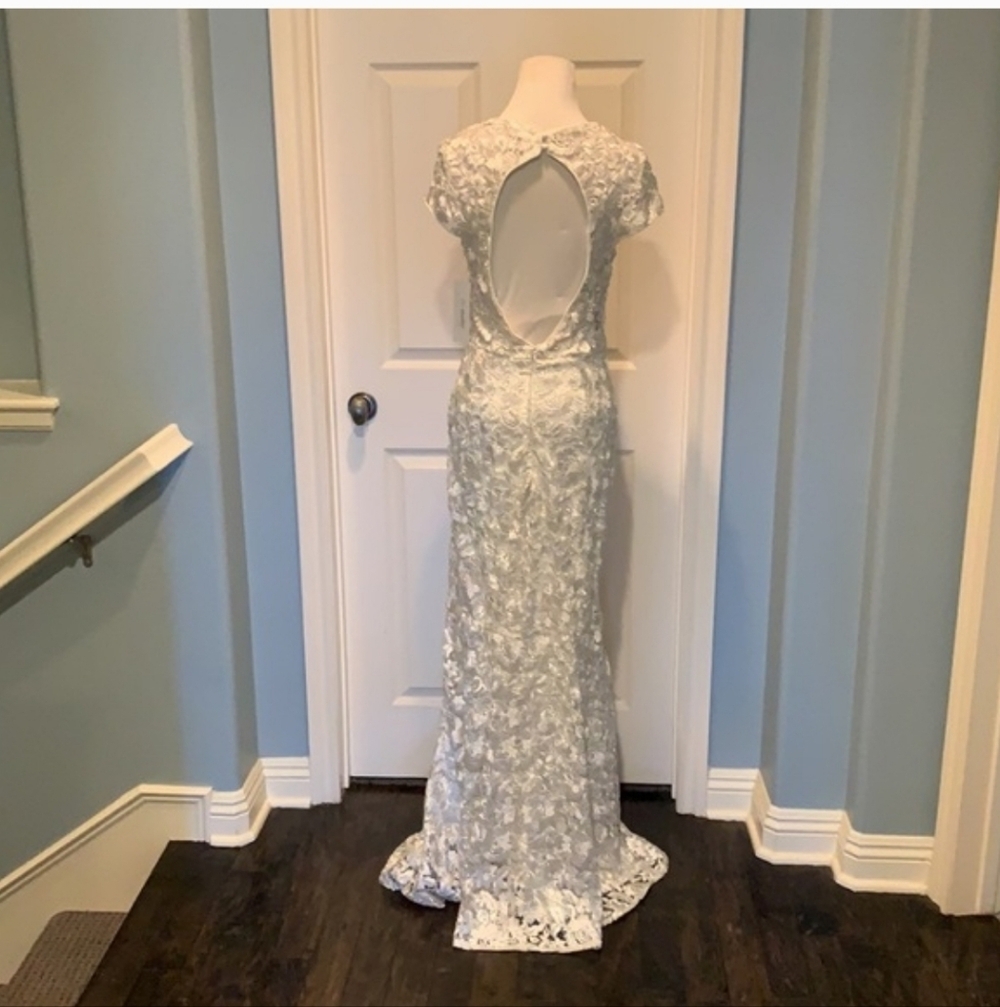 Elegant Lace Gown in Ivory - Picture 8 of 11